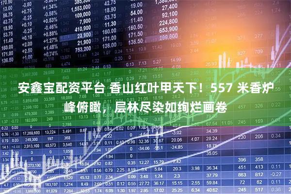 安鑫宝配资平台 香山红叶甲天下！557 米香炉峰俯瞰，层林尽染如绚烂画卷