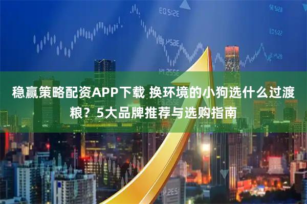 稳赢策略配资APP下载 换环境的小狗选什么过渡粮？5大品牌推荐与选购指南