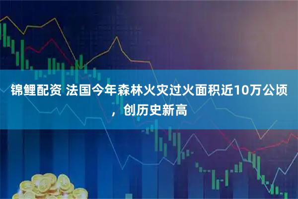 锦鲤配资 法国今年森林火灾过火面积近10万公顷，创历史新高